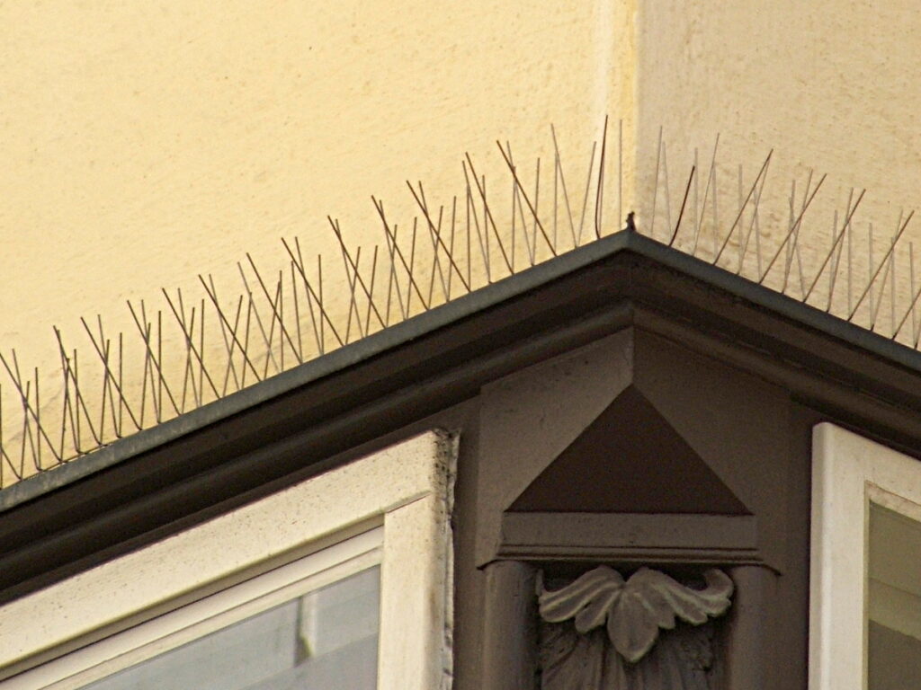 Bird Spike Installation